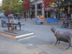 'Good sheep country wasted' 'Good sheep country wasted'