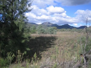 warrumbungles