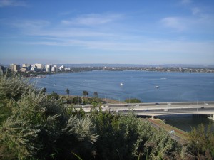 A great view from Kings Park over the centre  Perth.