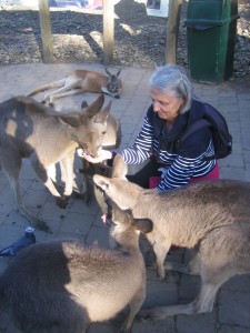 They are so pushy, they try to help themselves to the food and push each other out of the way.