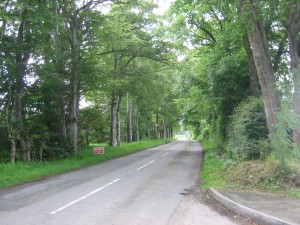 Avenue to Insch