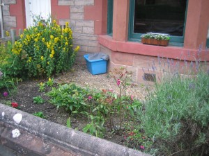 Tidy garden