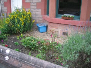 Tidy garden