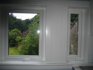 Litchen windows