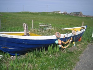 You can use a boat as a garden too